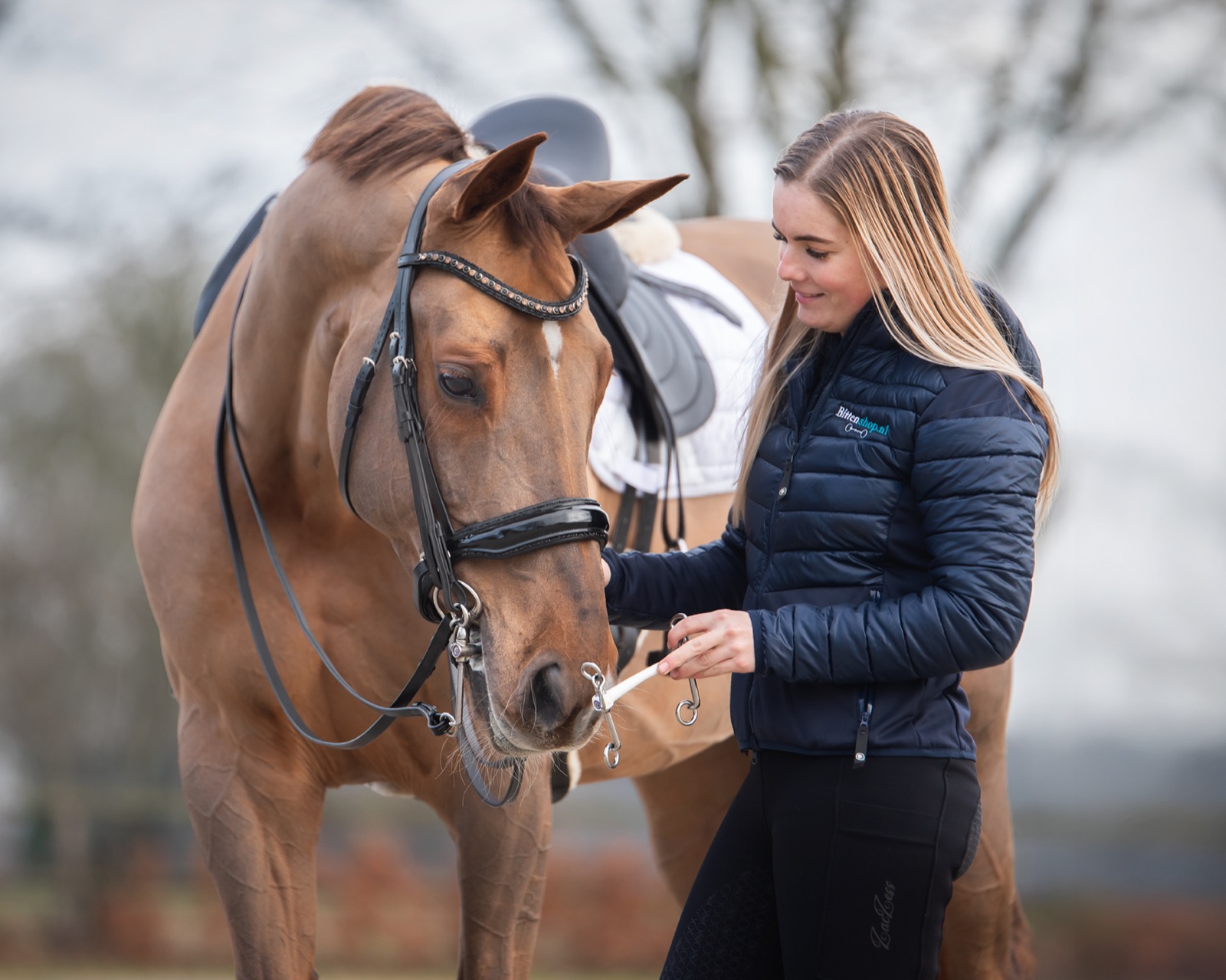 Hoofdstel en Bit Fittingen